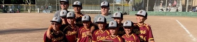 2022 Lincoln Elementary boys baseball district champions